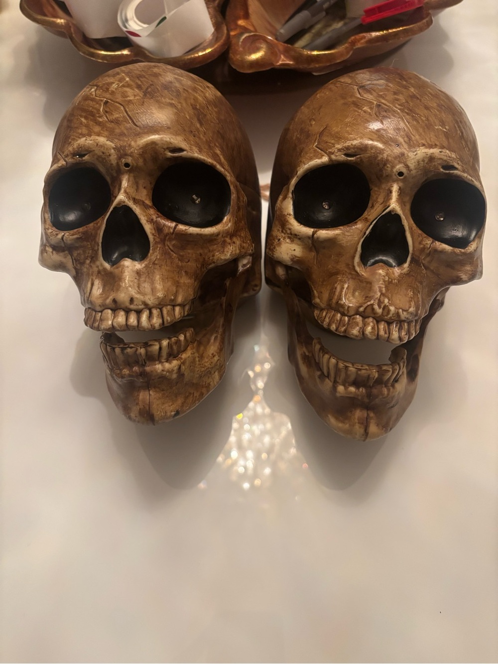 Decorative Resin Skull Set - Brown Accent Home Accent animated